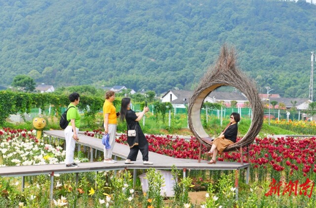 岳阳楼区焕新记②｜登一座理想的楼！岳阳楼区给您诗意栖居