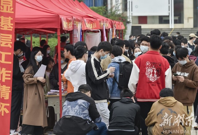 搭建优质平台  促进高质就业