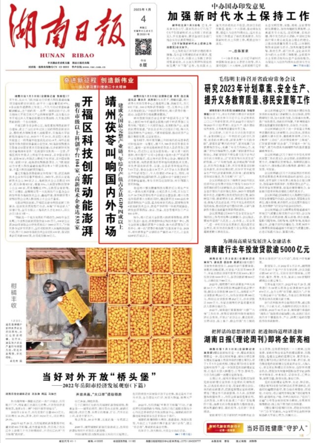 靖州茯苓叫响国内外市场