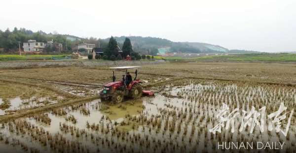 祁阳：水润农田粮满仓