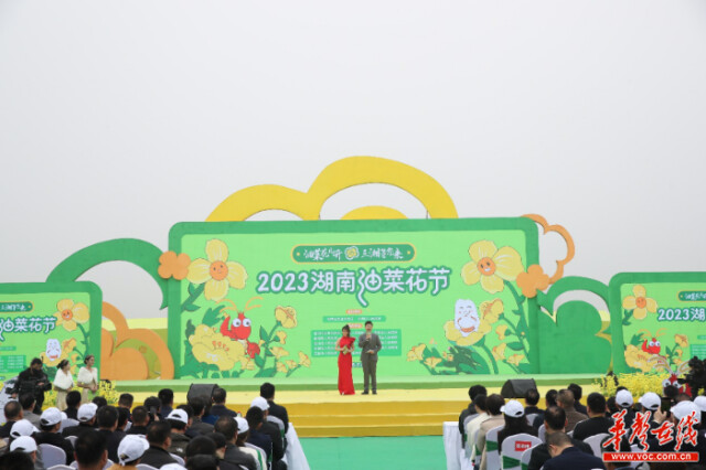 2023湖南油菜花节在南县启动 油菜花催热“美丽经济”