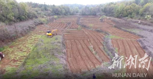 祁阳：让农田回归“粮田”