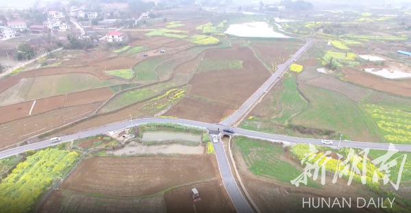 祁阳：让农田回归“粮田”