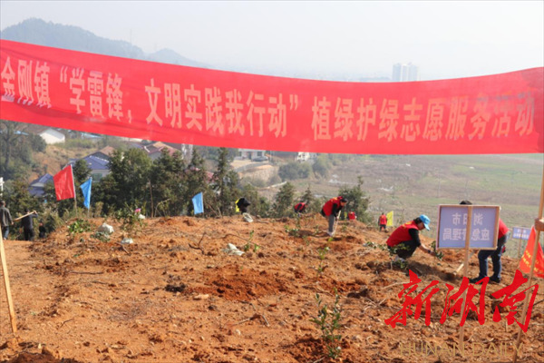 浏阳市金刚镇:植绿护绿树春晖 共绘生态新篇章