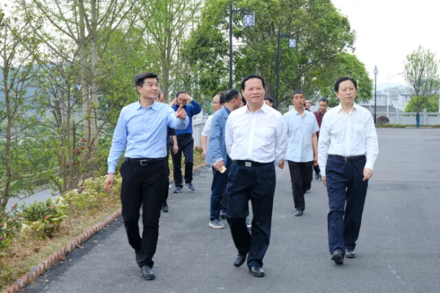 徐克勤(前右),叶红专(前中),龚明汉(前左)在凤凰菖蒲塘调研