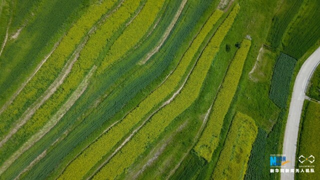 图为7月26日航拍的西宁市大通回族土族自治县东峡镇风光.