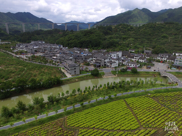 △去年9月，沙洲村荣获“全国民族团结进步模范集体”称号。村支书朱中建还受邀参加了庆祝新中国成立70周年大会的现场观礼。