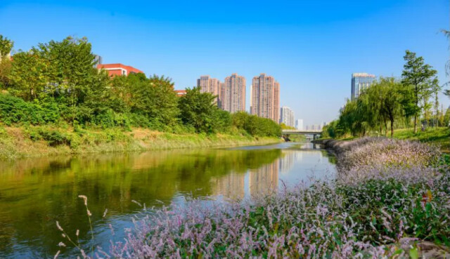 2193亿长沙雨花gdp成为中西部区县第一是如何做到的