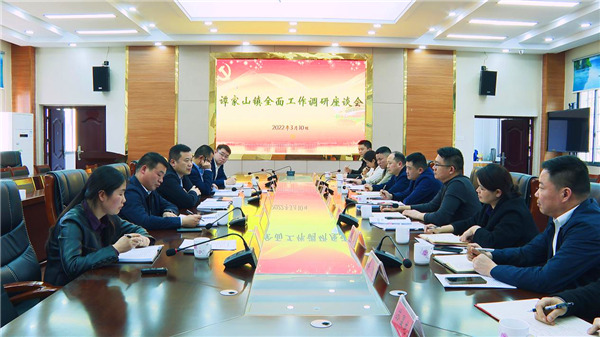 黄劲松调研中路铺镇、谭家山镇全面工作