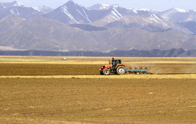 地处祁连山下的甘肃山丹马场春耕春播生产陆续全面展开，田间一派繁忙景象。5月19日，一台轮式拖拉机在甘肃山丹马场一场田间耕地。陈礼摄（人民图片）