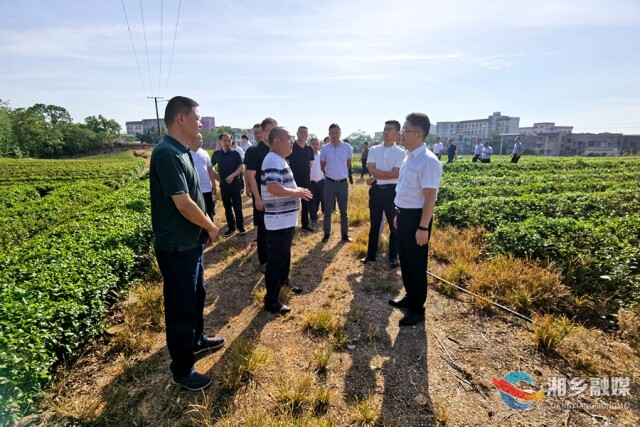 谢岸烨率队赴长沙、湘潭考察茶叶产业