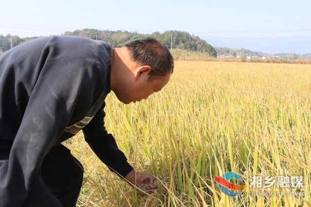 李华平：“折翼”汉子 单手撑起“一片天”