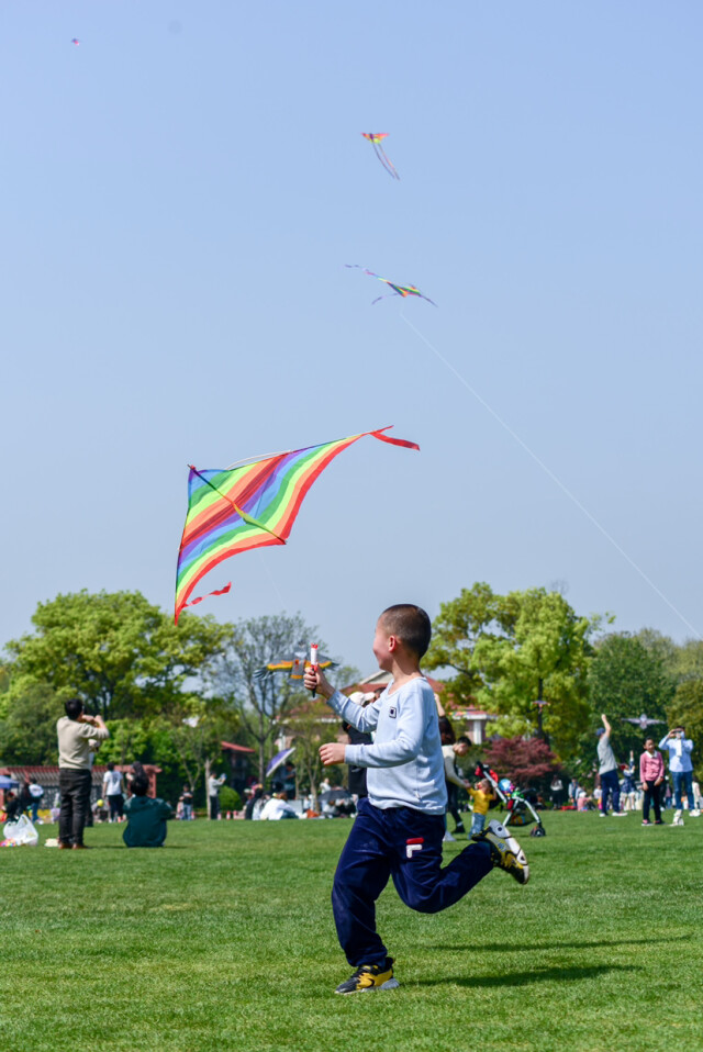 忙趁东风放纸鸢
