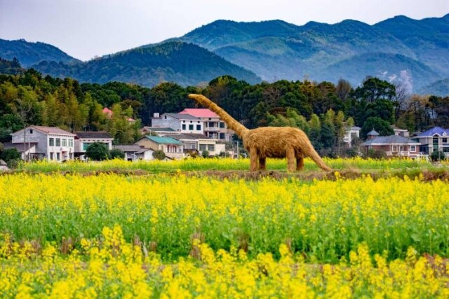 茶亭花海醉游人