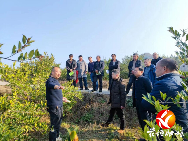 花垣县民乐镇：油茶林里培训忙