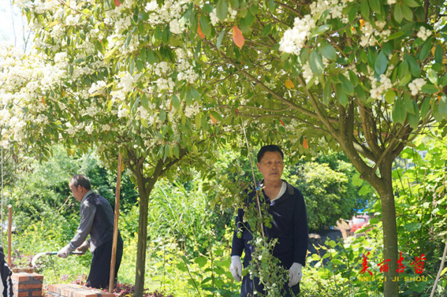 吉首市榔木村：我用镜头记录榔木村“印”象