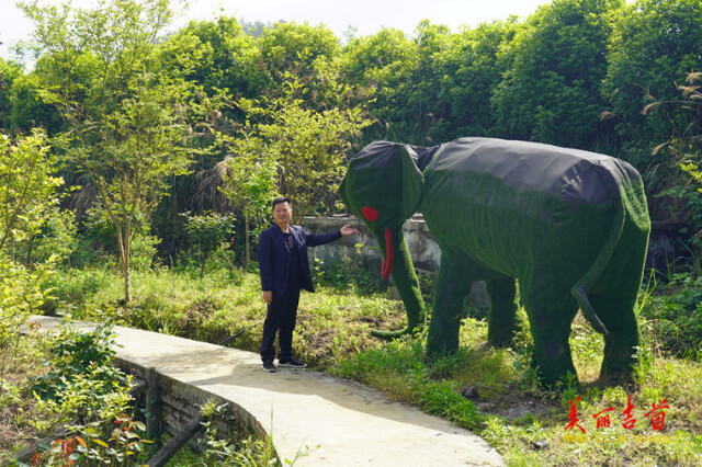 吉首市马颈坳镇榔木村：小蓝莓大文章 “蓝精灵”助力乡村振兴