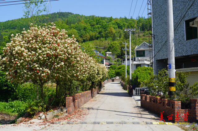 吉首市榔木村：我用镜头记录榔木村“印”象
