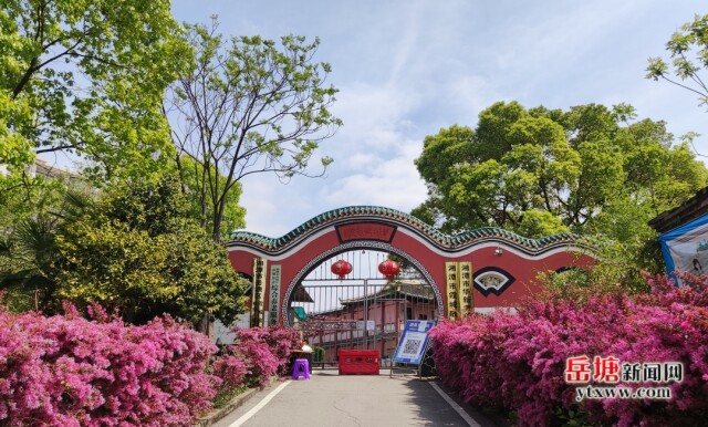 绘就幸福“夕阳红”——岳塘区养老服务提质增效