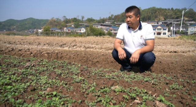 二十大时光|中方县潘福:带领更多小农户增产增收