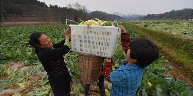 【脱贫攻坚看湖南】打工妹告别&ldquo;广漂&rdquo;留乡就业