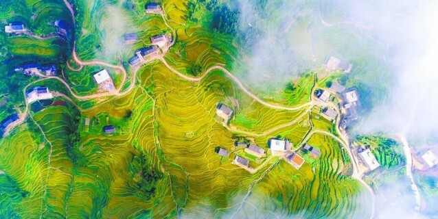 紫鹊界梯田