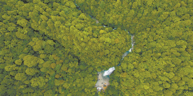 炎陵县神农谷国家级森林公园群山叠翠