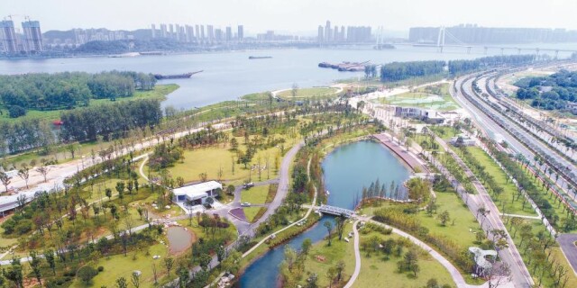 长沙月亮岛片区造绿复绿景观美