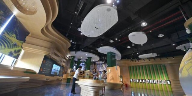 隆平水稻博物馆月底正式开馆，记者提前探访