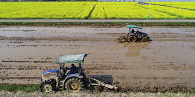 春光好 耕作忙