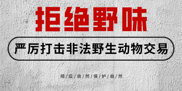 【海报】全面禁止非法野生动物交易 刻不容缓