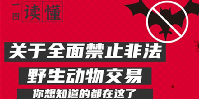 【一图读懂】关于全面禁止非法野生动物交易 你想知道的都在这了