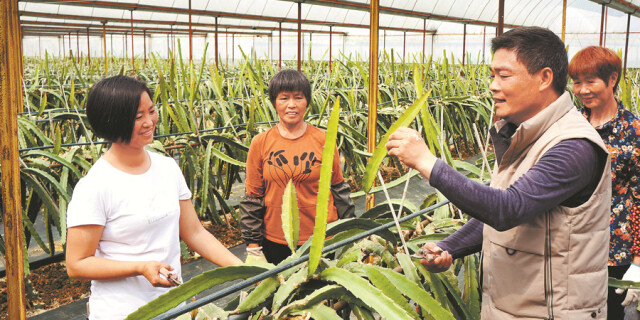 &ldquo;土专家&rdquo; 助春耕