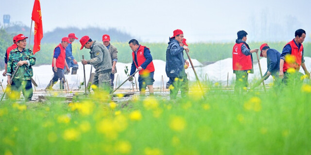 党员志愿服务春耕