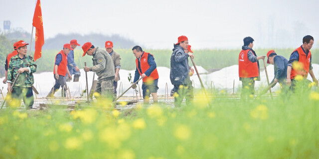 志愿者服务春耕