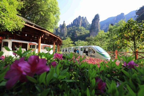 十里画廊享春光