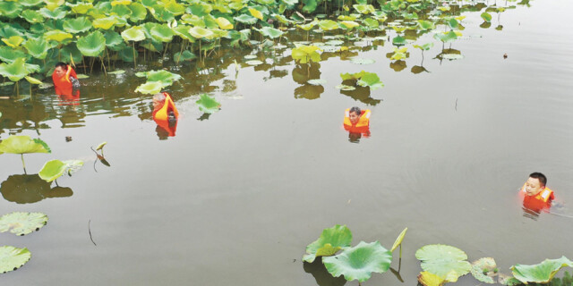 涉水查险 保堤护垸
