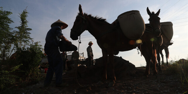 烈日下，挥汗奋战