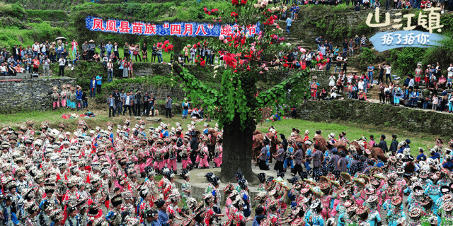 山江镇&ldquo;拍了拍&rdquo;你 ④｜ &ldquo;四月八&rdquo;，好嗨哟！