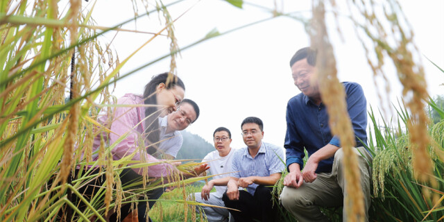 消费扶贫 订单上门