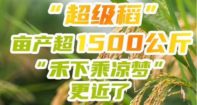 &ldquo;超级稻&rdquo;亩产超1500公斤！&ldquo;禾下乘凉梦&rdquo;更近了
