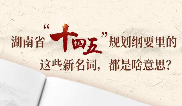 你好！2025丨这些新名词，都是啥意思？