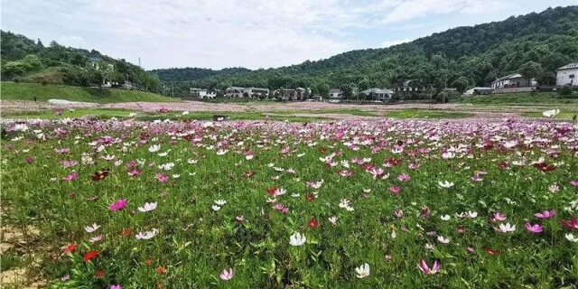 长株潭将迎来城市中央公园