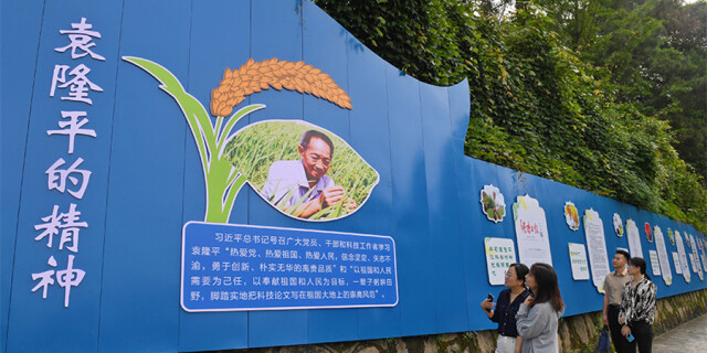 ​&ldquo;袁隆平的精神&rdquo;宣传文化墙亮相长沙