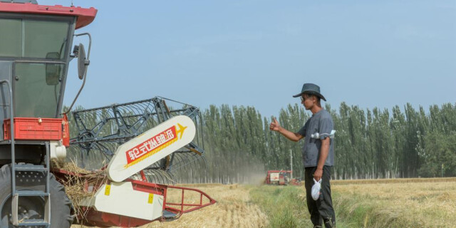 &ldquo;90后&rdquo;麦客：持北斗导航麦田&ldquo;淘金&rdquo;