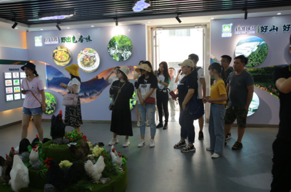 共谱&ldquo;遇见石门&rdquo;好物图鉴 媒体记者自驾打卡湖南石门