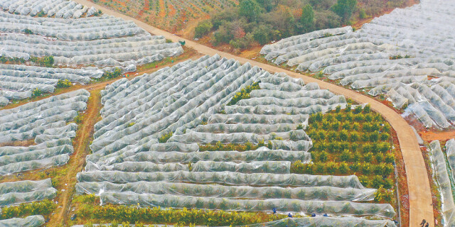 &ldquo;穿衣戴帽&rdquo; 安全过冬