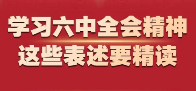 学习六中全会精神，这些表述要精读
