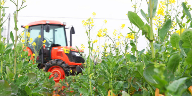 人勤春早耕种忙