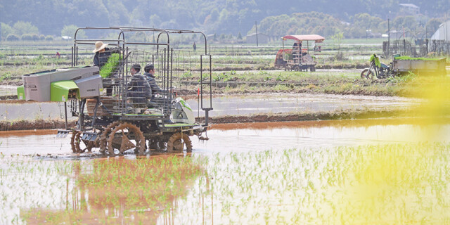 不误农时不负春